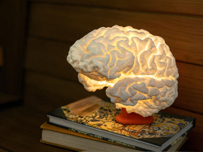 Επιτραπέζια Λάμπα “Brainstorm”